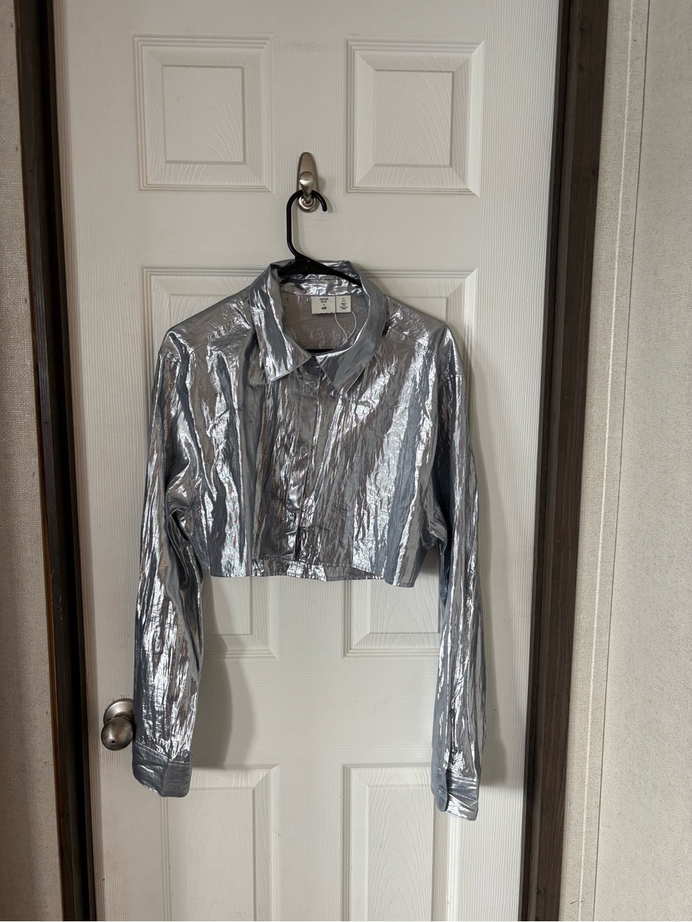 H&M Metallic Silver Cropped Button-Down Shirt